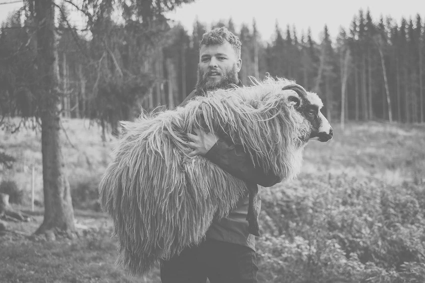 Warum haben Männer mehr Haare als Frauen?