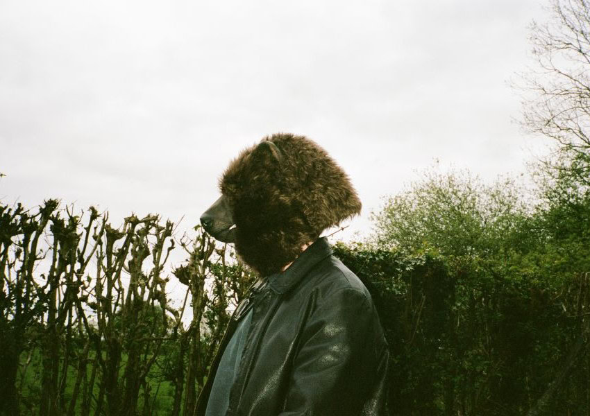 Minoxidil vs. natürliche Mittel für das Haarwachstum: Was wirkt wirklich?